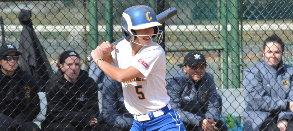 Offensive Surge Leads Softball To Doubleheader Split With Bloomfield